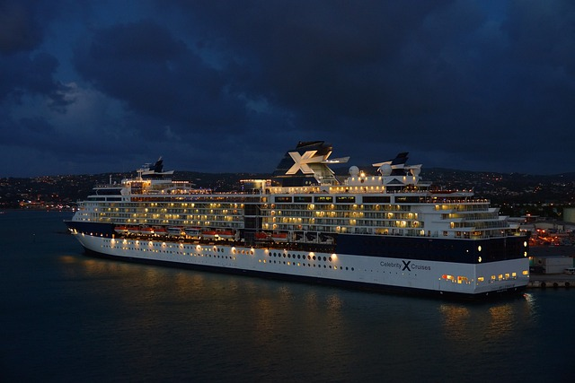 cruise ship in the night sky