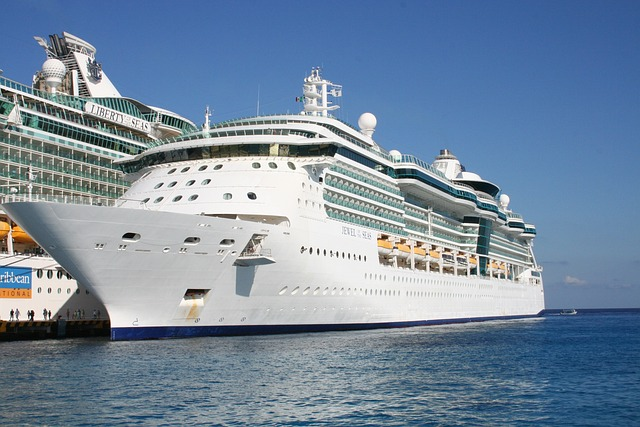 freedom of the seas royal caribbean cruise