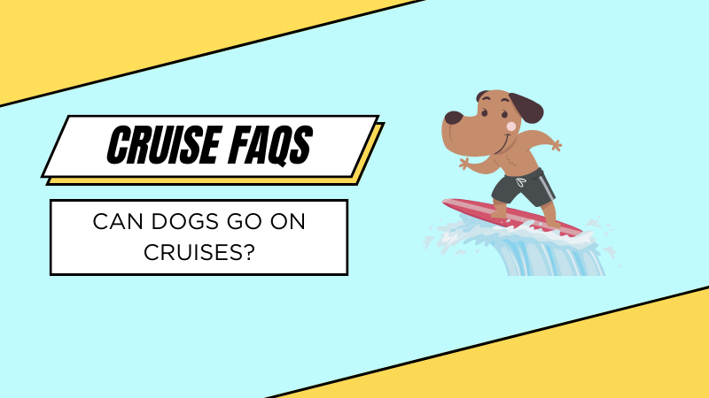 Can Dogs Go on Cruises? Your Guide to Pet-Friendly Cruising