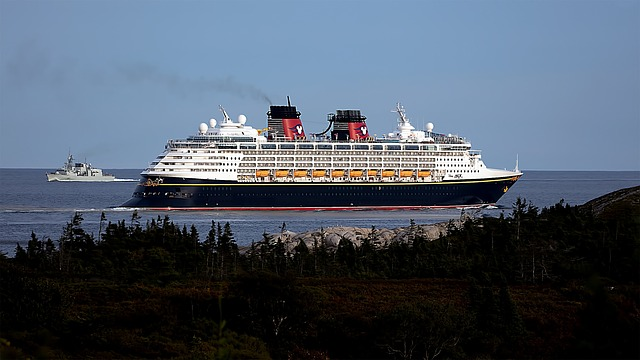 Disney Cruise ship on the sea