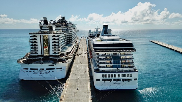 Two cruise ships docked on the sea