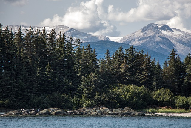 scenic view of Alaska