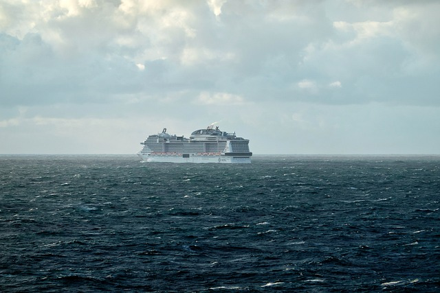 Cruise ship floating far on the sea