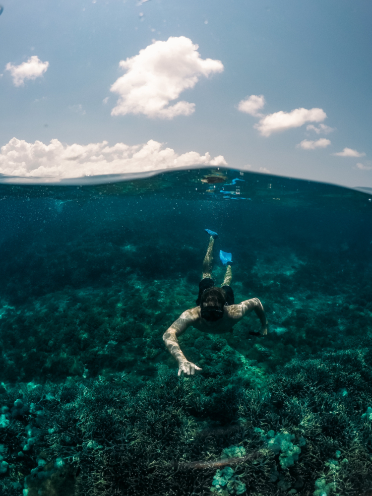 Man snorkeling on a coral reef
