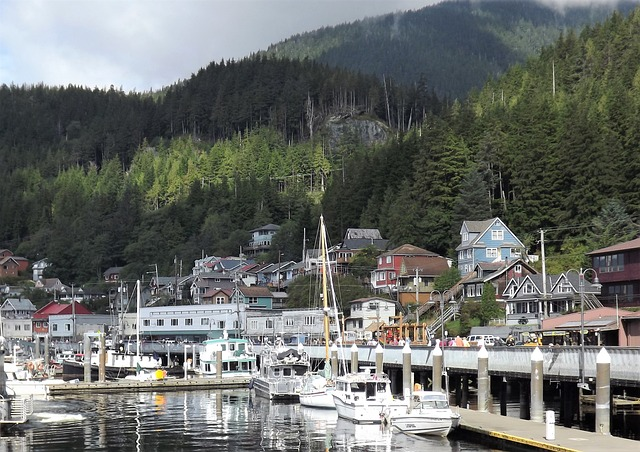 Port of Alaska by a village