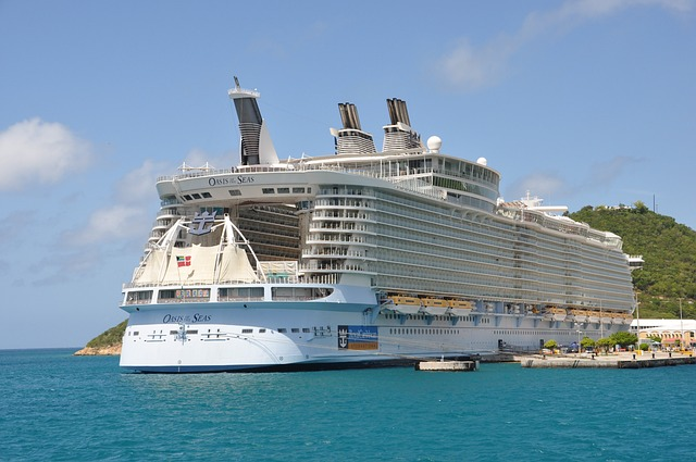 cruise ship docked by the port in the day