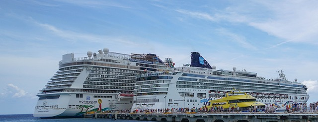 a crowd of people embarking two cruise ships