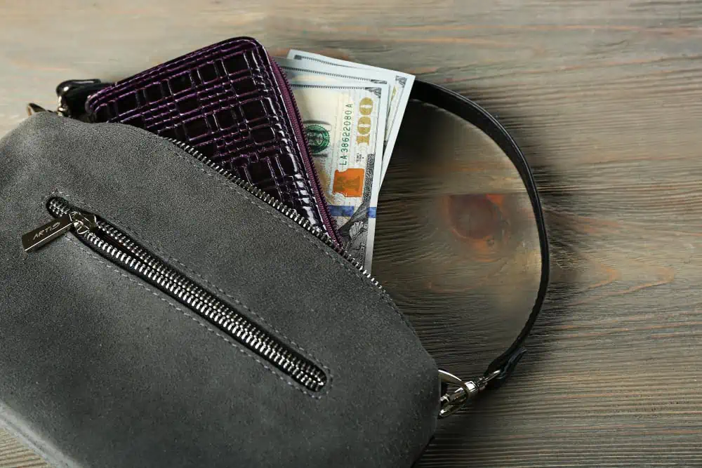 small handbag with wallet and cash